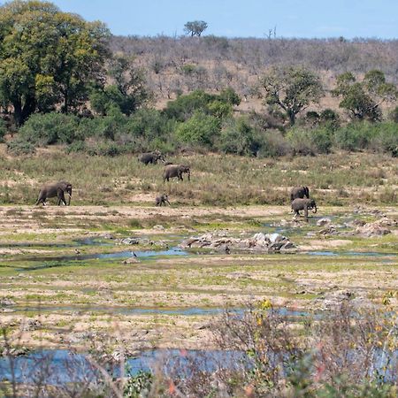 Foxy Crocodile Bush Lodge & Kruger Safari'S - No Loadshedding Marloth Park Exterior foto