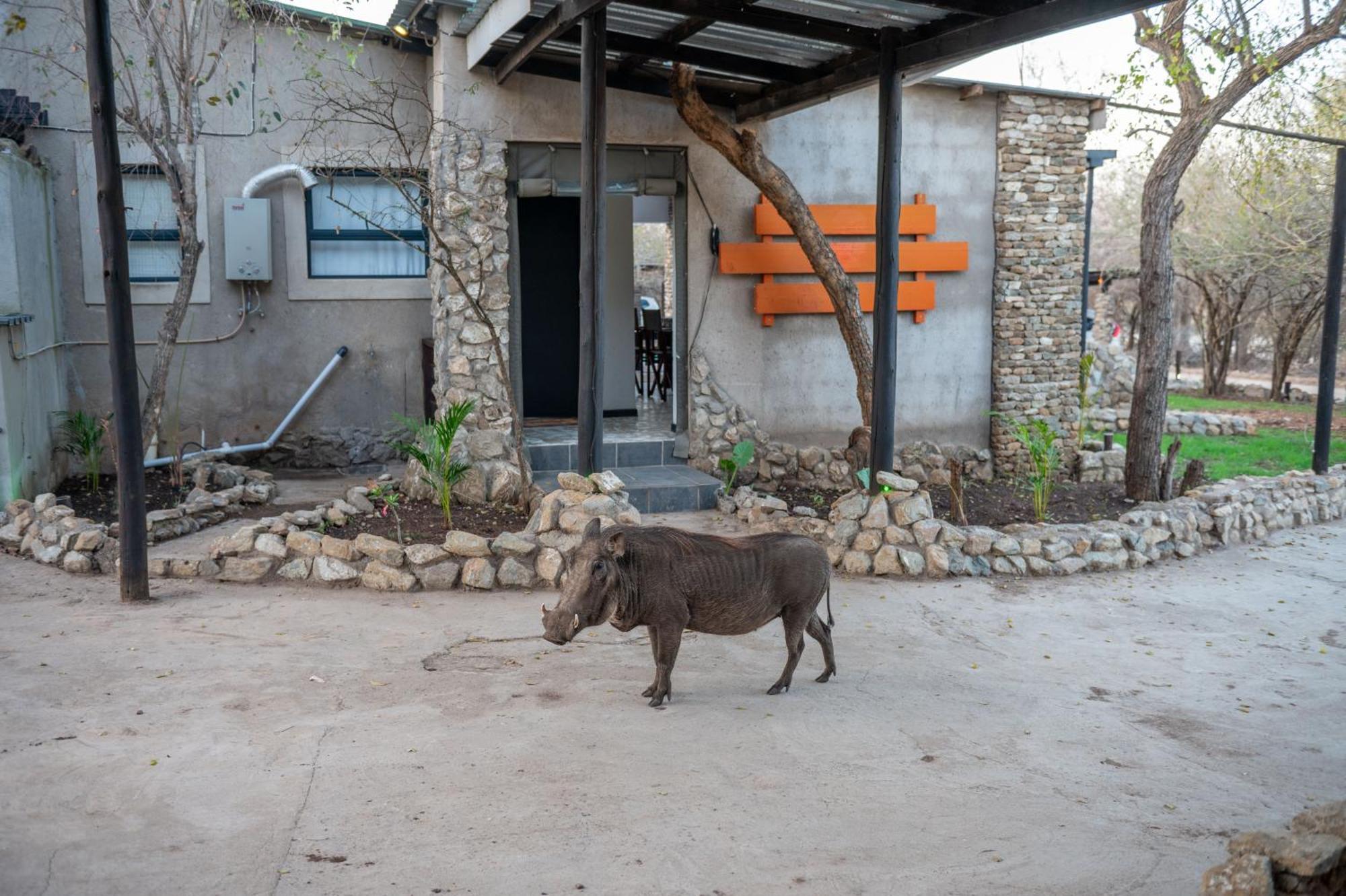 Foxy Crocodile Bush Lodge & Kruger Safari'S - No Loadshedding Marloth Park Exterior foto