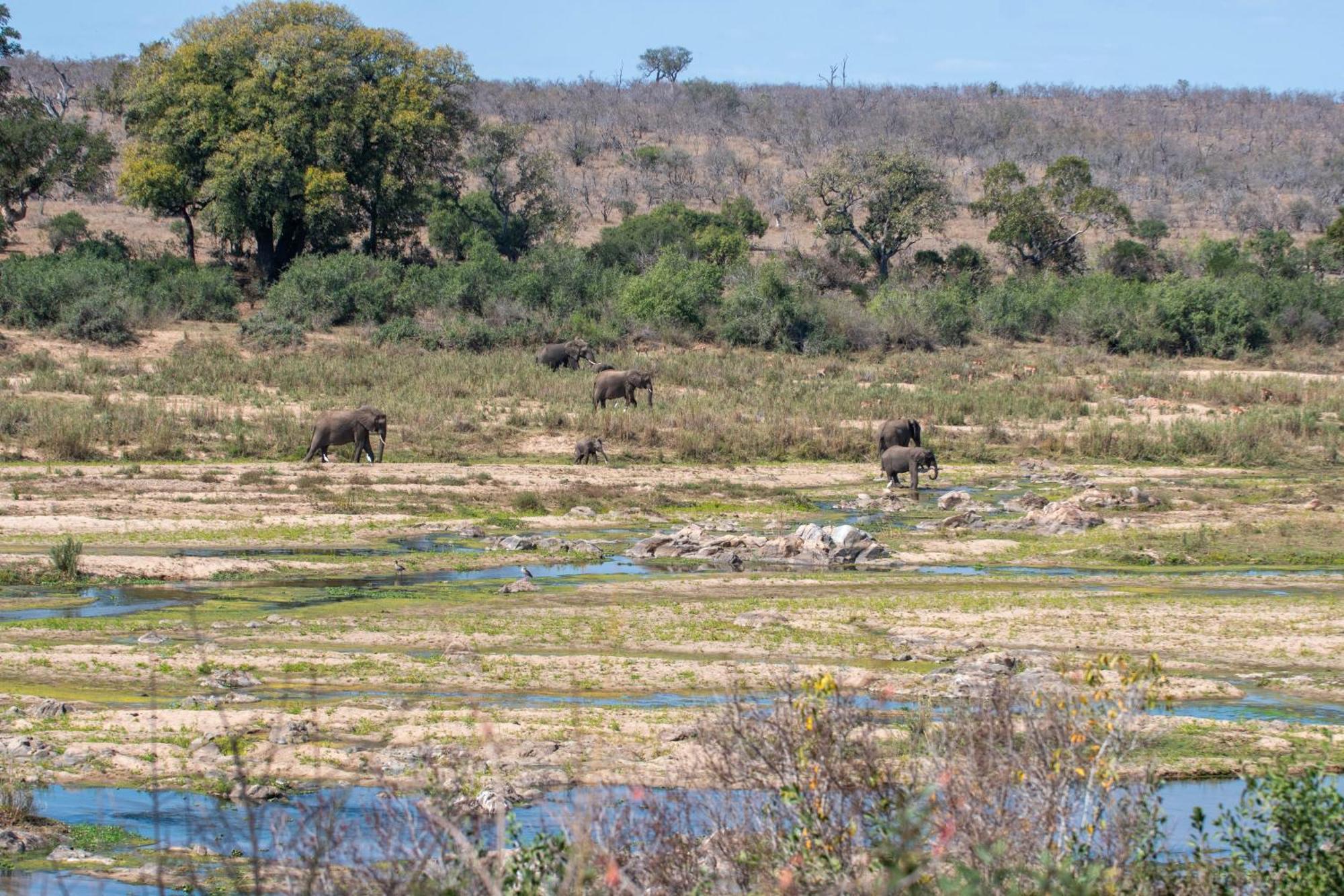 Foxy Crocodile Bush Lodge & Kruger Safari'S - No Loadshedding Marloth Park Exterior foto